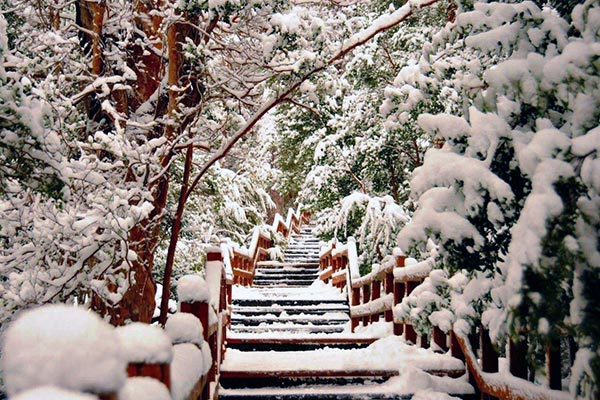 invierno en villa la angostura