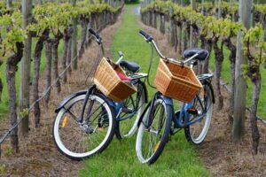 rotas do vinho em mendoza