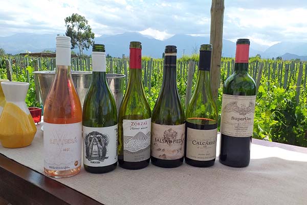 rota do malbec