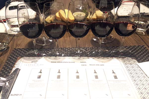 rotas-do-vinho-em-mendoza