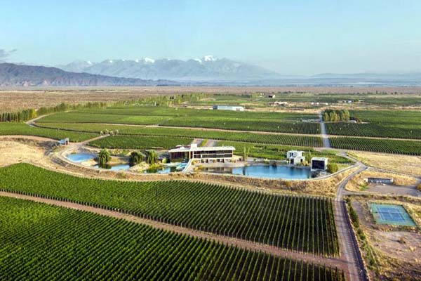 rotas do vinho em mendoza