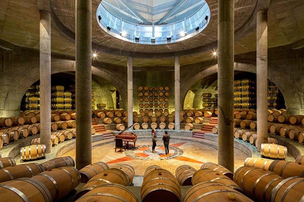 rotas-do-vinho-em-mendoza