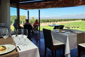 rotas do vinho em mendoza