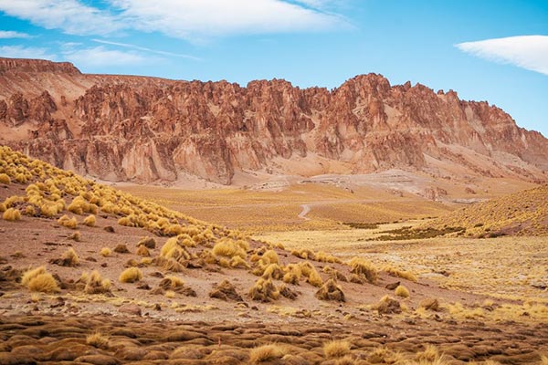 a rota do vinho em salta