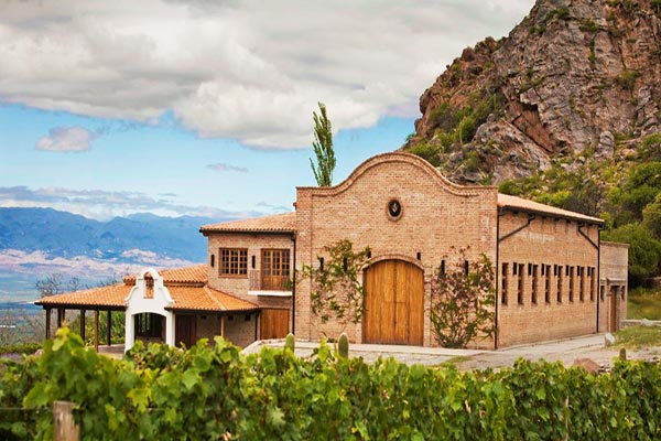 a rota do vinho em salta