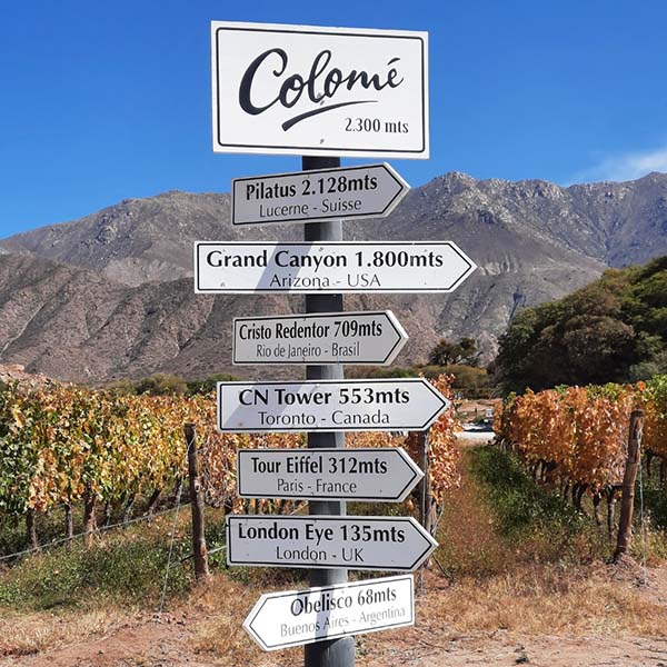 vinhos de altitude