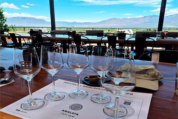 vinhos de altitude