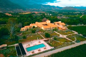 vinhos de altitude