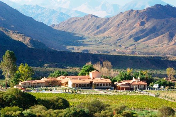 vinhos de altitude